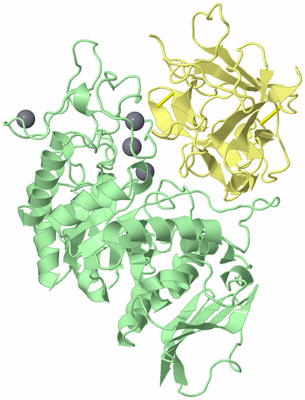 Image Biological Unit 2