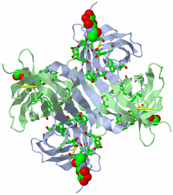 Image Biol. Unit 1 - sites