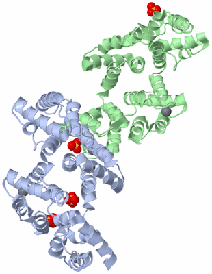 Image Biological Unit 3