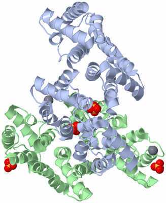 Image Biological Unit 4