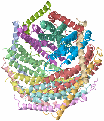 Image Asym./Biol. Unit