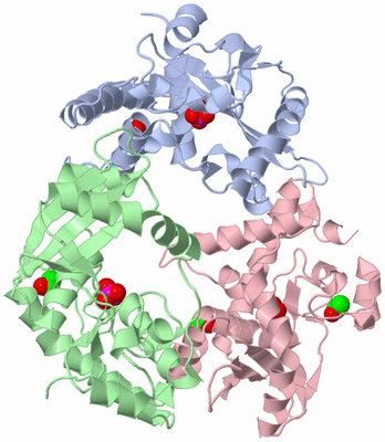 Image Asym./Biol. Unit