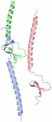 Image Asymmetric Unit