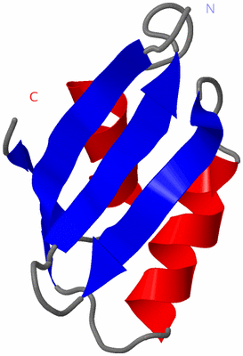 Image NMR Structure - model 1