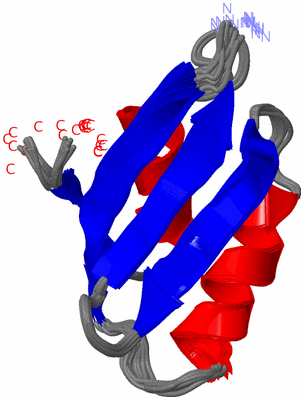 Image NMR Structure - all models