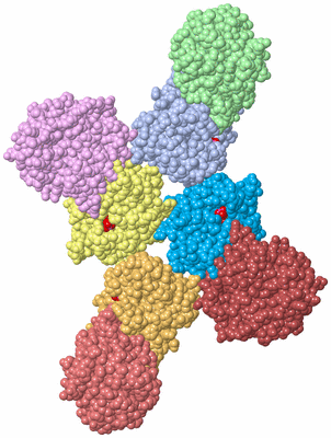 Image Asymmetric Unit