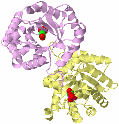 Image Biological Unit 2