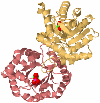 Image Biological Unit 3