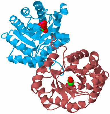 Image Biological Unit 4