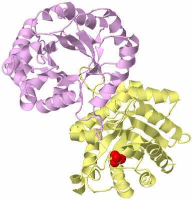 Image Biological Unit 2