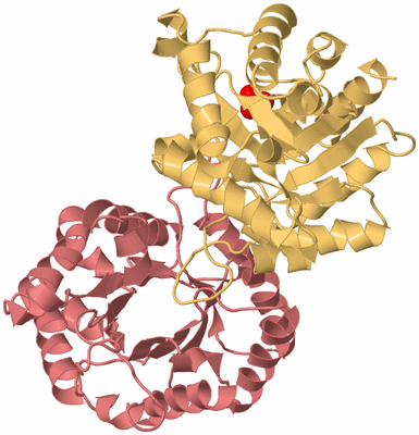 Image Biological Unit 3