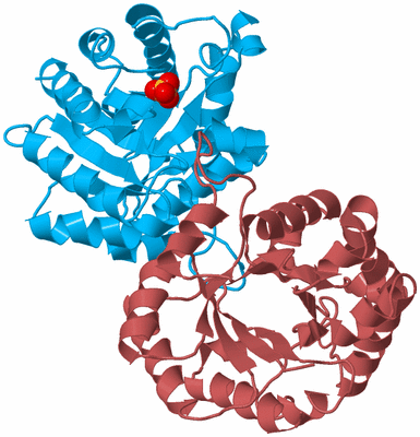 Image Biological Unit 4