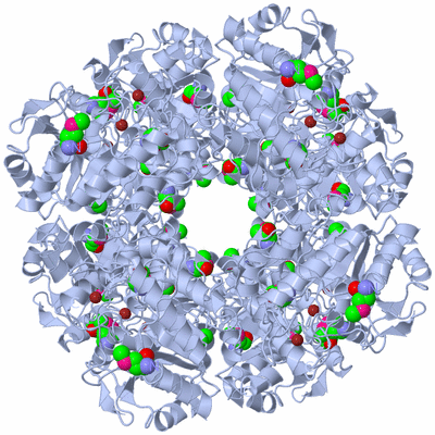 Image Biological Unit 1