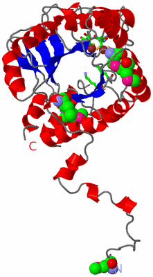 Image Asym. Unit - sites