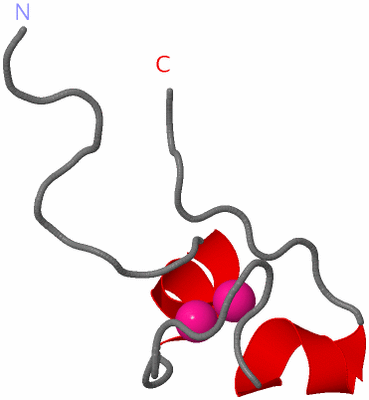 Image NMR Structure - model 1