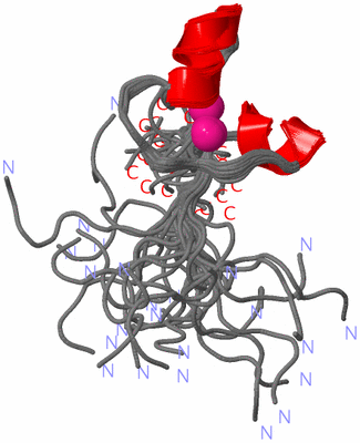 Image NMR Structure - all models