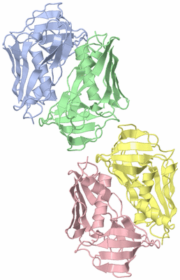 Image Asymmetric Unit