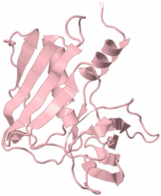 Image Biological Unit 3
