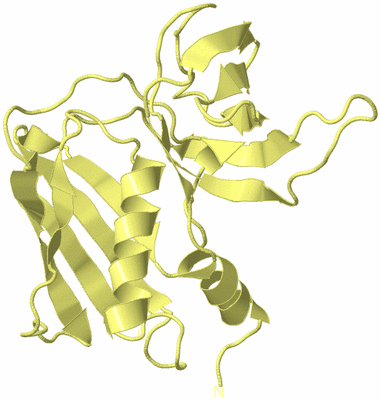 Image Biological Unit 4