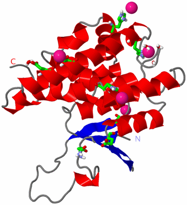 Image Asym. Unit - sites