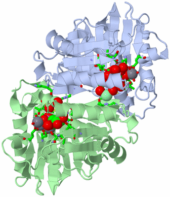 Image Asym./Biol. Unit - sites