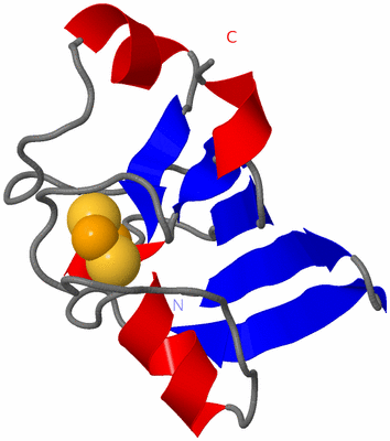 Image Asymmetric Unit