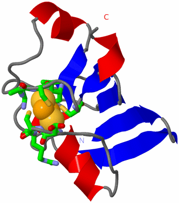 Image Asym. Unit - sites