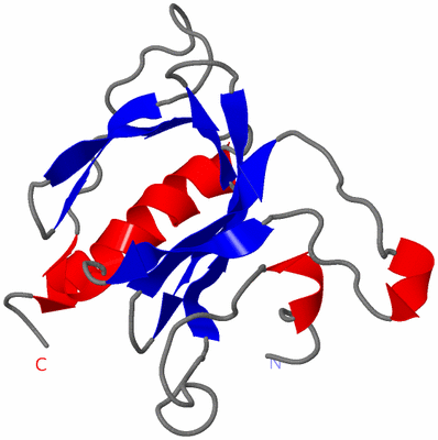 Image NMR Structure - model 1