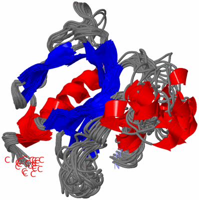 Image NMR Structure - all models