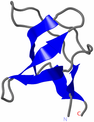 Image NMR Structure - model 1