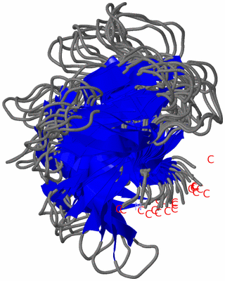 Image NMR Structure - all models