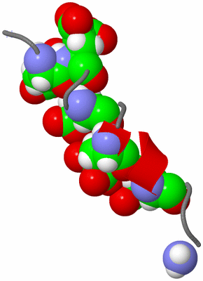 Image NMR Structure - model 1