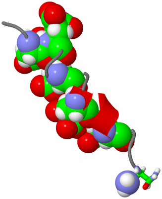 Image NMR Structure - model 1, sites
