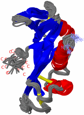 Image NMR Structure - all models