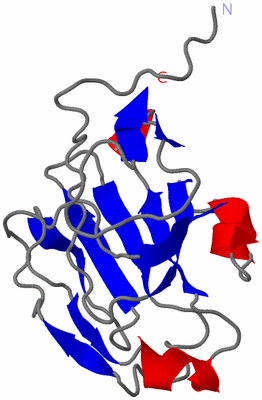 Image NMR Structure - model 1