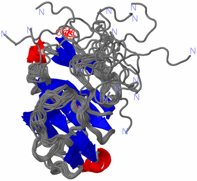 Image NMR Structure - all models