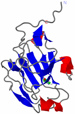 Image NMR Structure - model 1, sites