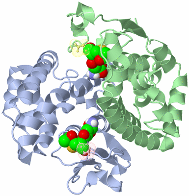 Image Asym./Biol. Unit