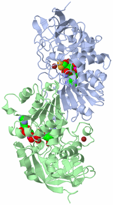 Image Asym./Biol. Unit