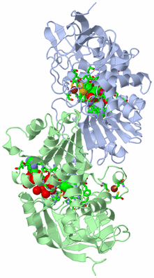 Image Asym./Biol. Unit - sites