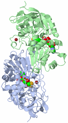 Image Biological Unit 1