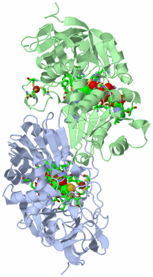 Image Biol. Unit 1 - sites