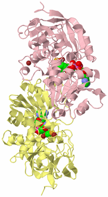 Image Biological Unit 2