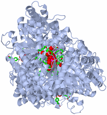 Image Biol. Unit 1 - sites