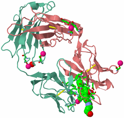 Image Biol. Unit 1 - sites