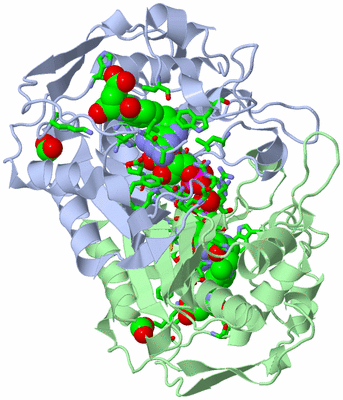 Image Asym./Biol. Unit - sites