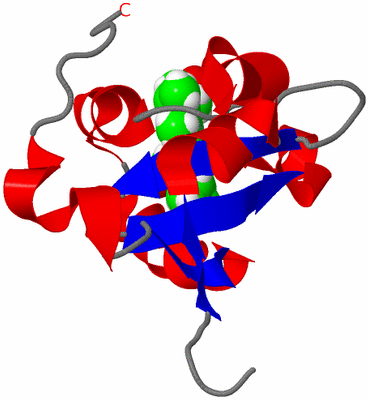 Image NMR Structure - model 1