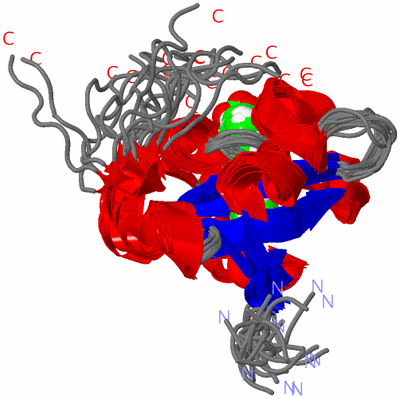 Image NMR Structure - all models