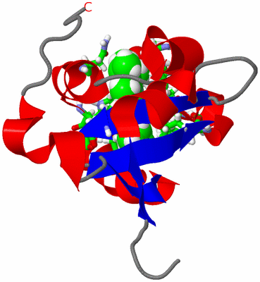 Image NMR Structure - model 1, sites