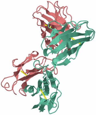 Image Asym./Biol. Unit